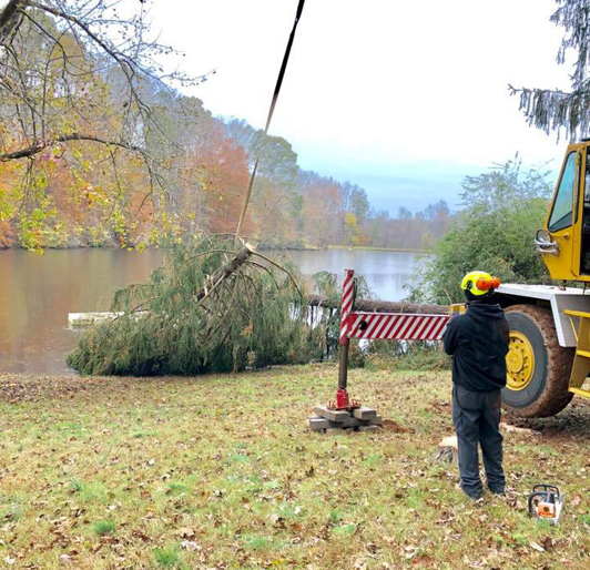 Lusk Tree Removal