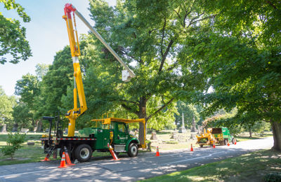 Tree Pruning Equipment