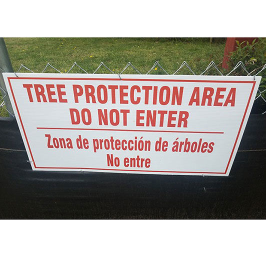 What Is A Tree Protection Zone (2)