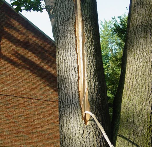 Lightning Damage