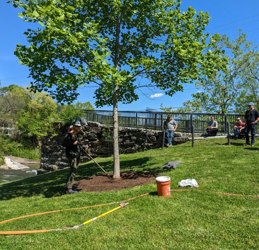 Arboristry Air Spade Class
