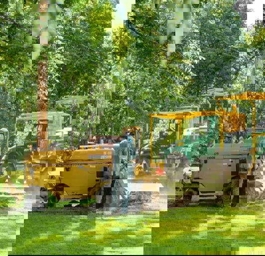 Tree Removal Stump Removal Alternating 640X426